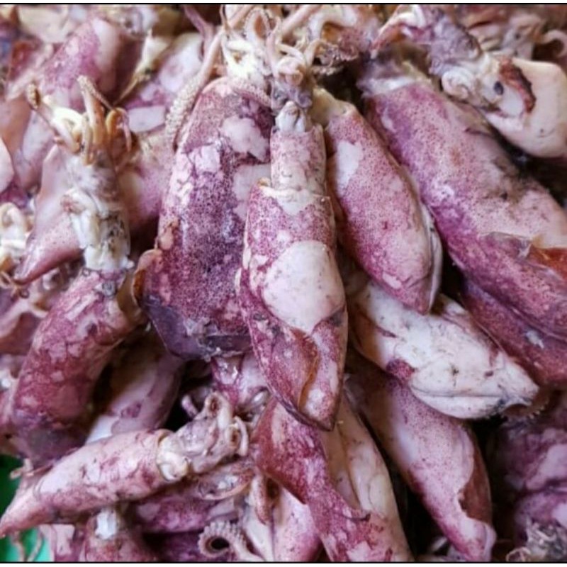 

Cumi Asin Premium Ukuran sedang 100gr
