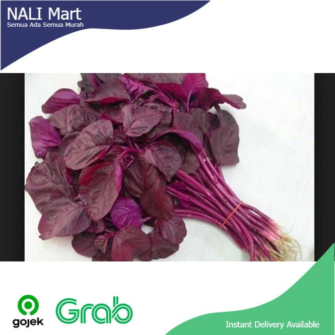 

Bayam Merah Sayur Online Sayur Segar 1 ikat