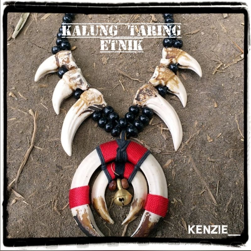 KALUNG TARING BABI ETNIK PRIA KALIMANTAN