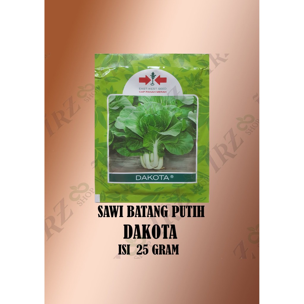 Benih Sawi Dakota 25 Gram Diskon