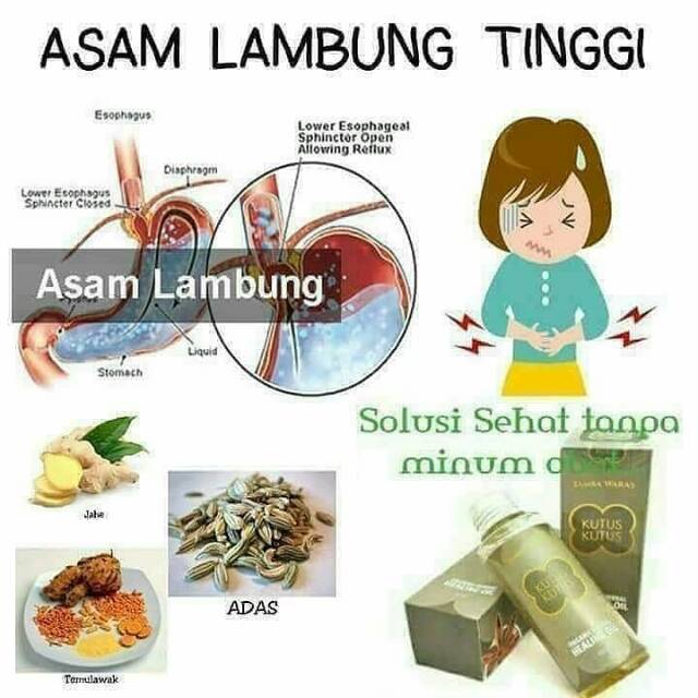 Jual Minyak Kutus Kutus Untuk Sakit Asam Lambung Indonesia Shopee Indonesia