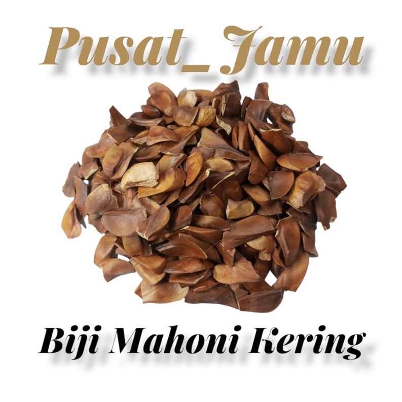 Biji mahoni kering 1kg biji mahuni non kupas