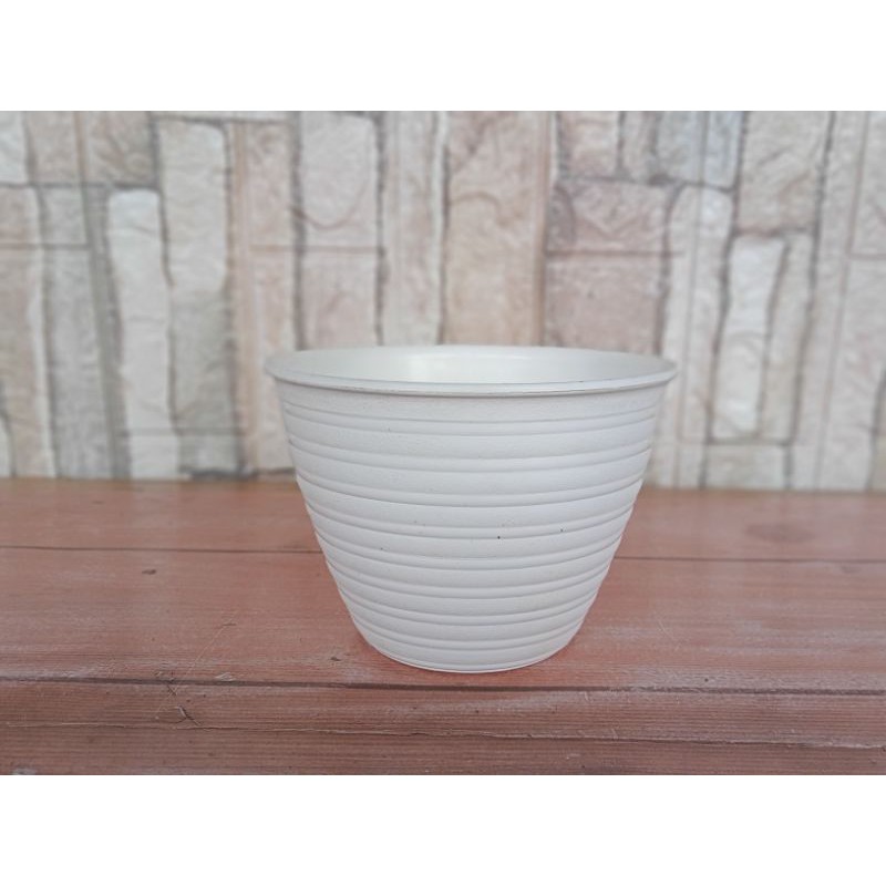 pot tanaman tawon 18