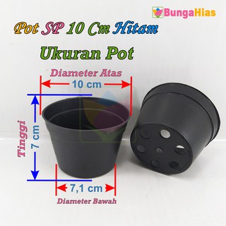  Pot  10  Cm  Tanaman Bunga Hias Pot  Plastik  Hitam  Shopee 