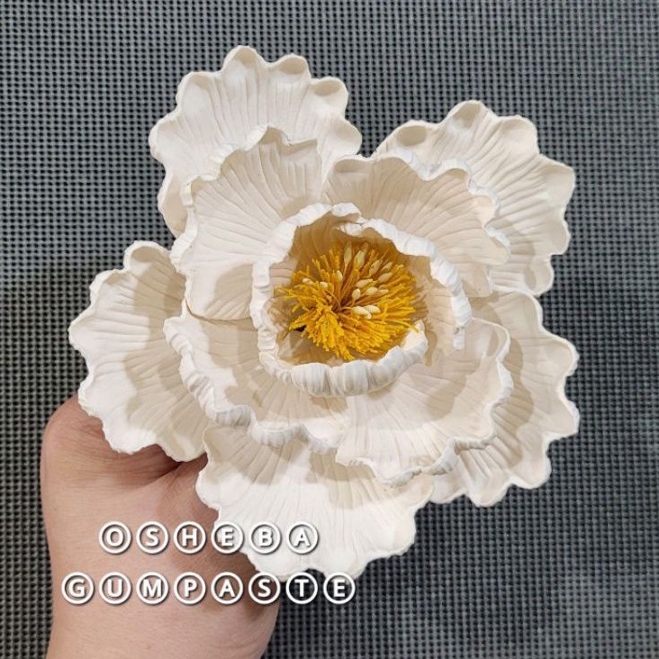 

[osheba] gumpaste bunga bs peony 13 cm