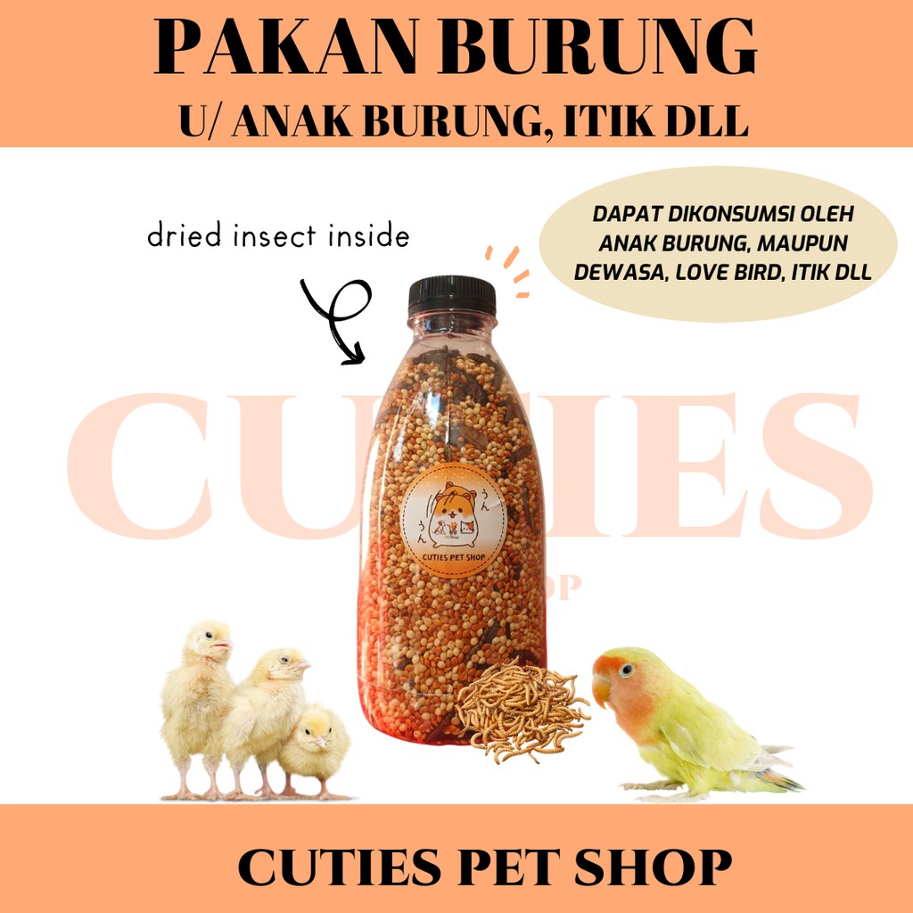 PAKAN BURUNG BABY BIRD / MAKANAN  BURUNG BIRD LOVE BURUNG KENARI / BLACKTHROAT / PARKIT