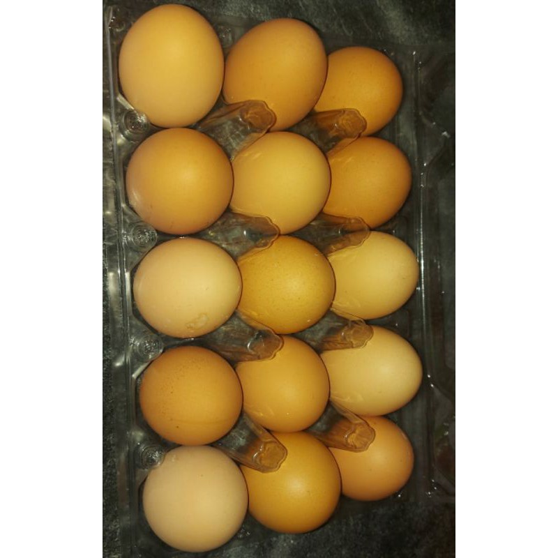 

Telur Ayam Negeri Isi 15 Butir / 1Kg