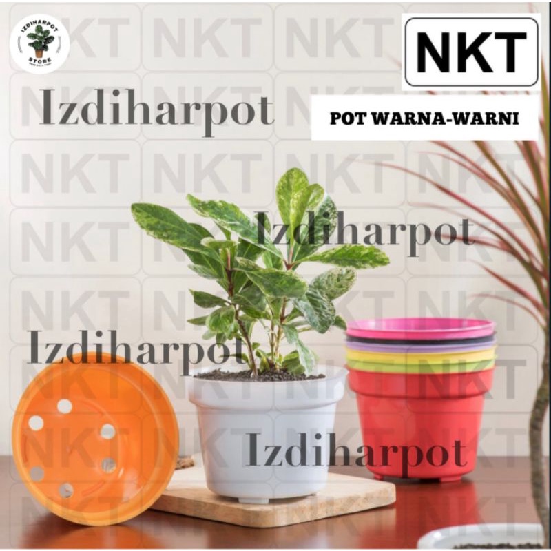 pot bunga tanaman nkt polos 17 warna warni - NKT POLOS