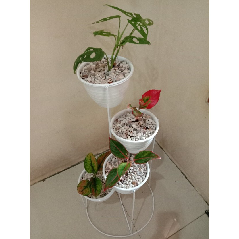 STANDING POT BULAN STANDING POT LINGKARAN 4in1