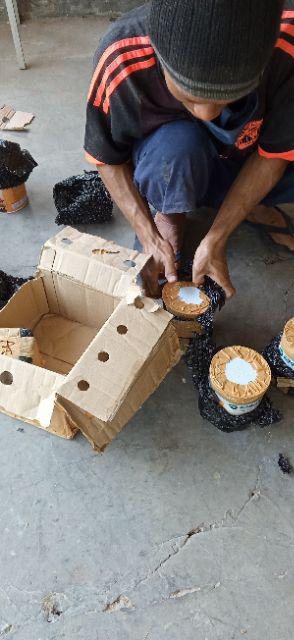 Cat Politur Propan Ultran Lasur Warna 1 Liter