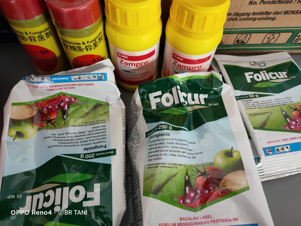 Bakterisida Dan Fungisida Bactocyn Kemasan 200ml