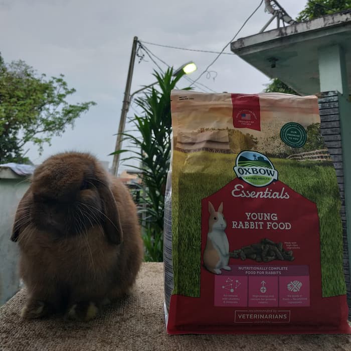 Promo Pelet kelinci Oxbow Essentials Young Rabbit Food 5 lbs Murah