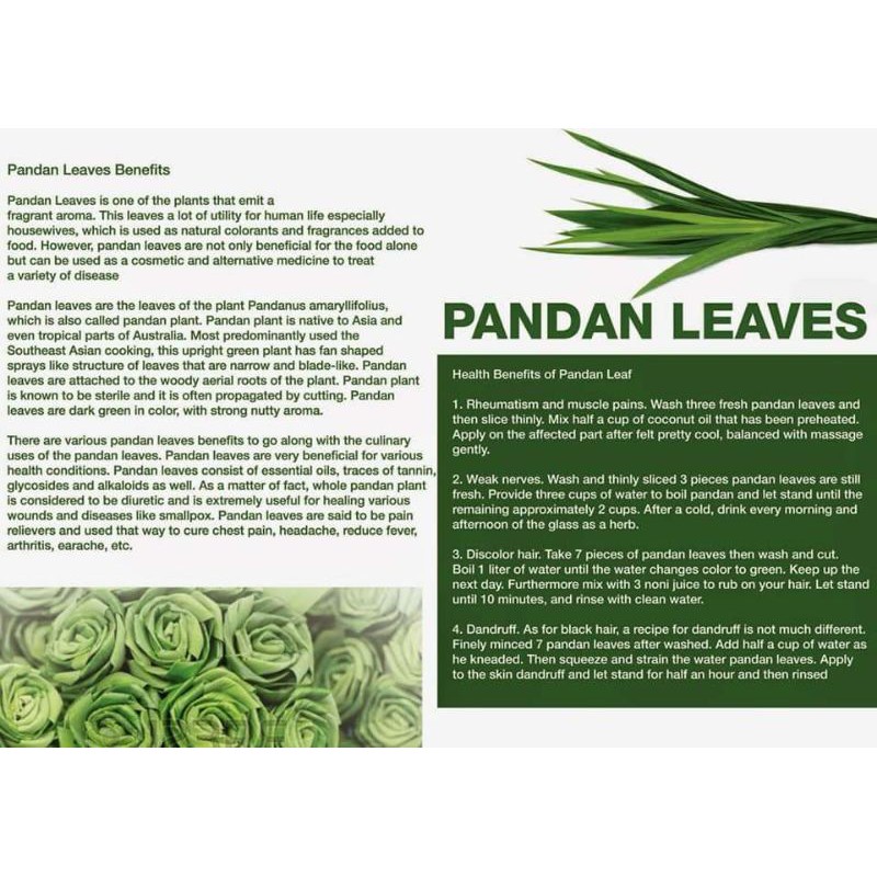 FRAGRANT PANDAN LEAF TEA : TEH DAUN PANDAN WANGI ISI 30 TEA BAG 100% ORGANIC