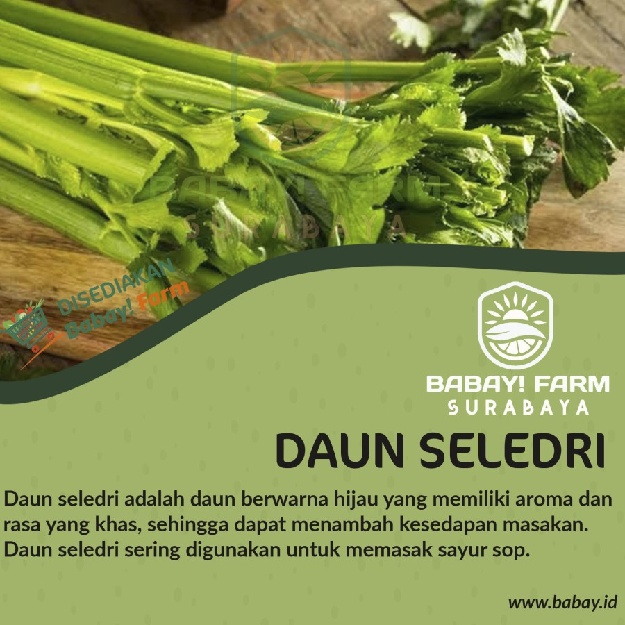 

Daun Seledri / Sledri 1 Ikat