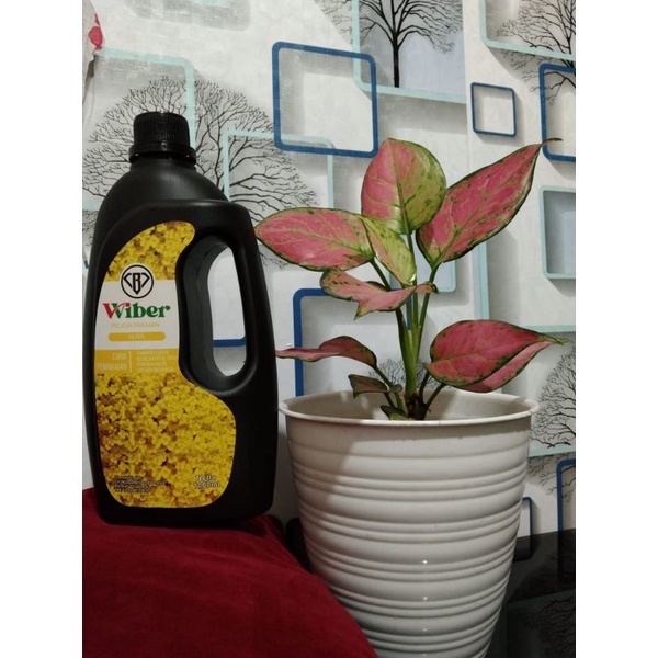 pewangi & pelembut pakaian wiber 1ltr