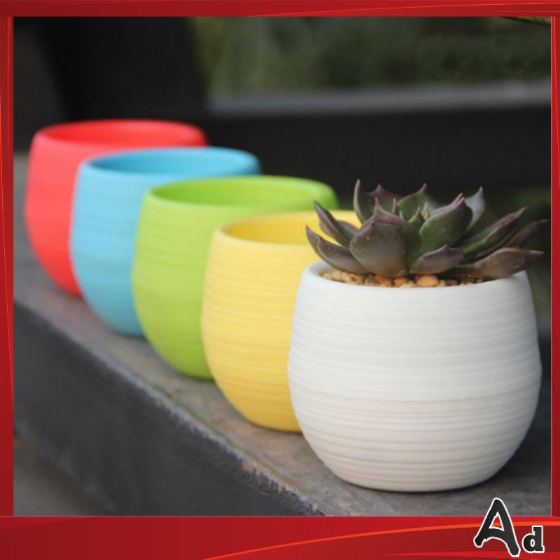 Ad Mini Pot Bunga Hias Kaktus/Jenis Tanaman Hias Multi Warna ((5 Pcs))
