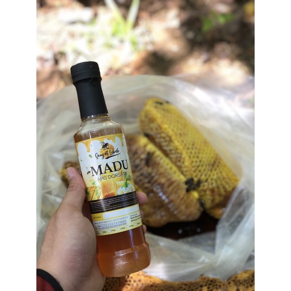 

Madu Hutan (Apis Dorsata)