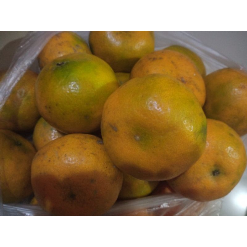 

jeruk 1kg