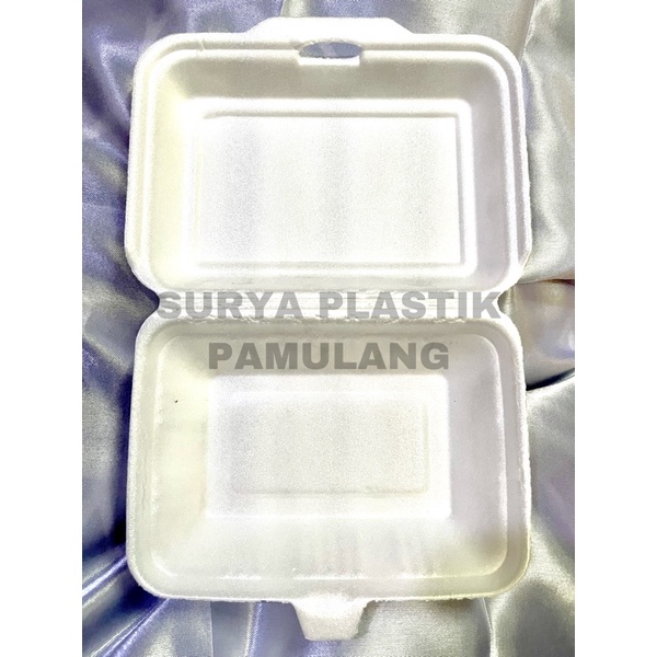 Styrofoam Bubur Sterofoam 100Pcs Makanan Ayam