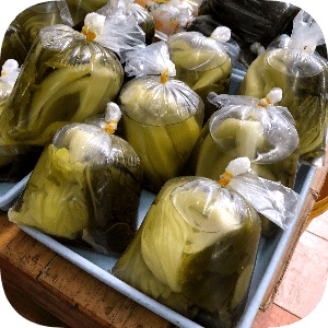 

Sayur Asin 1 bungkus