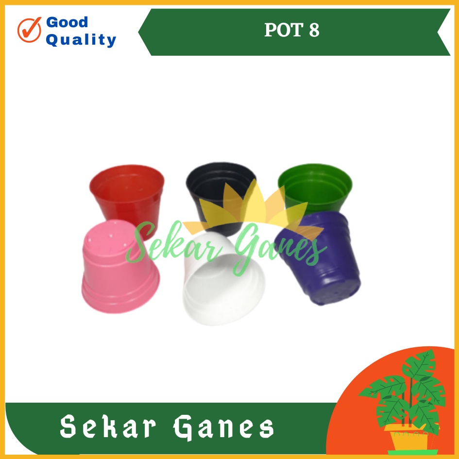 POT GOL 8 CM PELANGI KECIL KAKTUS | Ice cream Pot Tanpa Lubang 8 cm Pot Hidroponik Pot Es Krim 8cm.