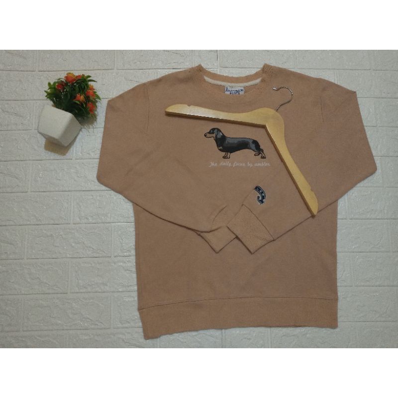 CREWNECK AMBLER PARIS ORIGINAL IMPORT