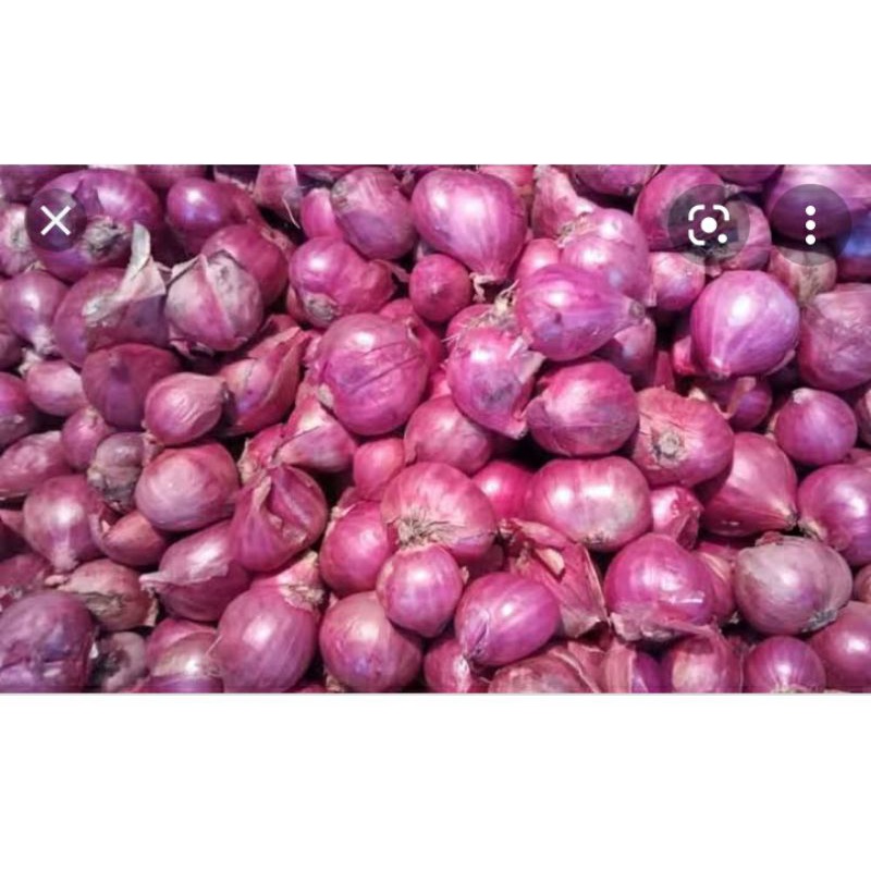 

Bawang merah berkualitas