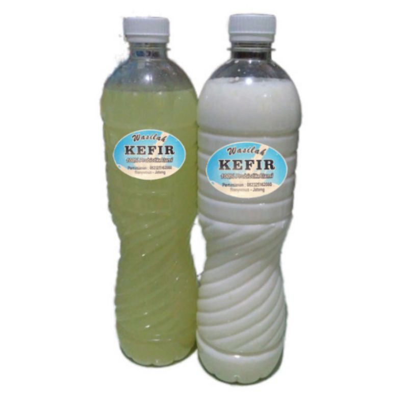 

SUSU KEFIR PROBIOTIK ALAMI HOMEMADE (Isi Bersih 950ml)