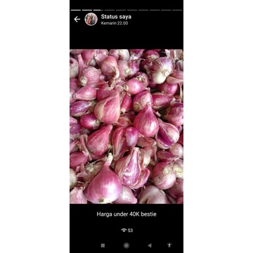 

bawang merah brebes 1kg/ bawang merah/ bawang putih murah ready