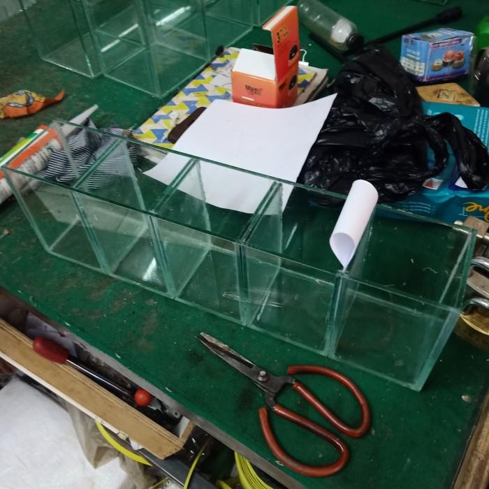 Aqua | Aquarium Kaca Akuarium Soliter Cupang 5 Sekat Ruang 50X10X15 Cm 5 Mm