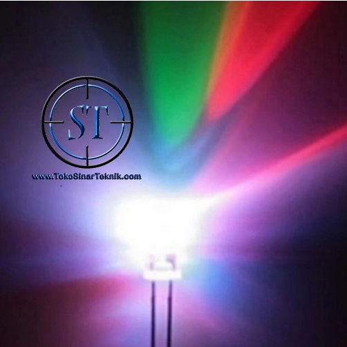 LED Putih = 3 Warna 5mm Disco Warna Warni Colourful Pelangi Reg Green Blue RGB