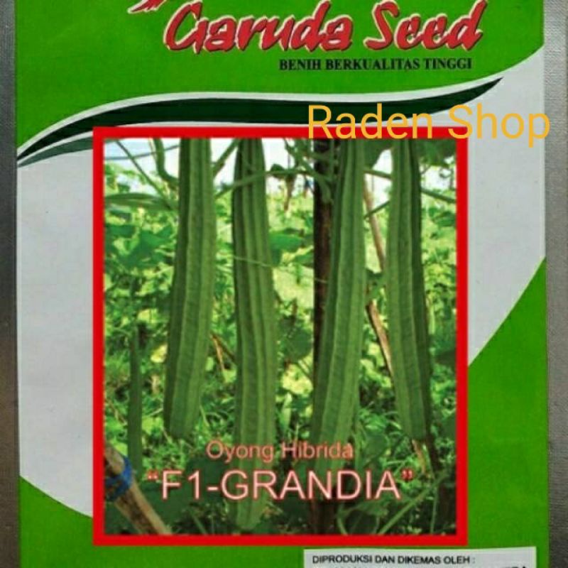 Benih Oyong Hibrid FI GRANDIA || Bibit Oyong Sayur || Biji Oyong Sayur || OYONG SAYUR || BENIH SAYUR