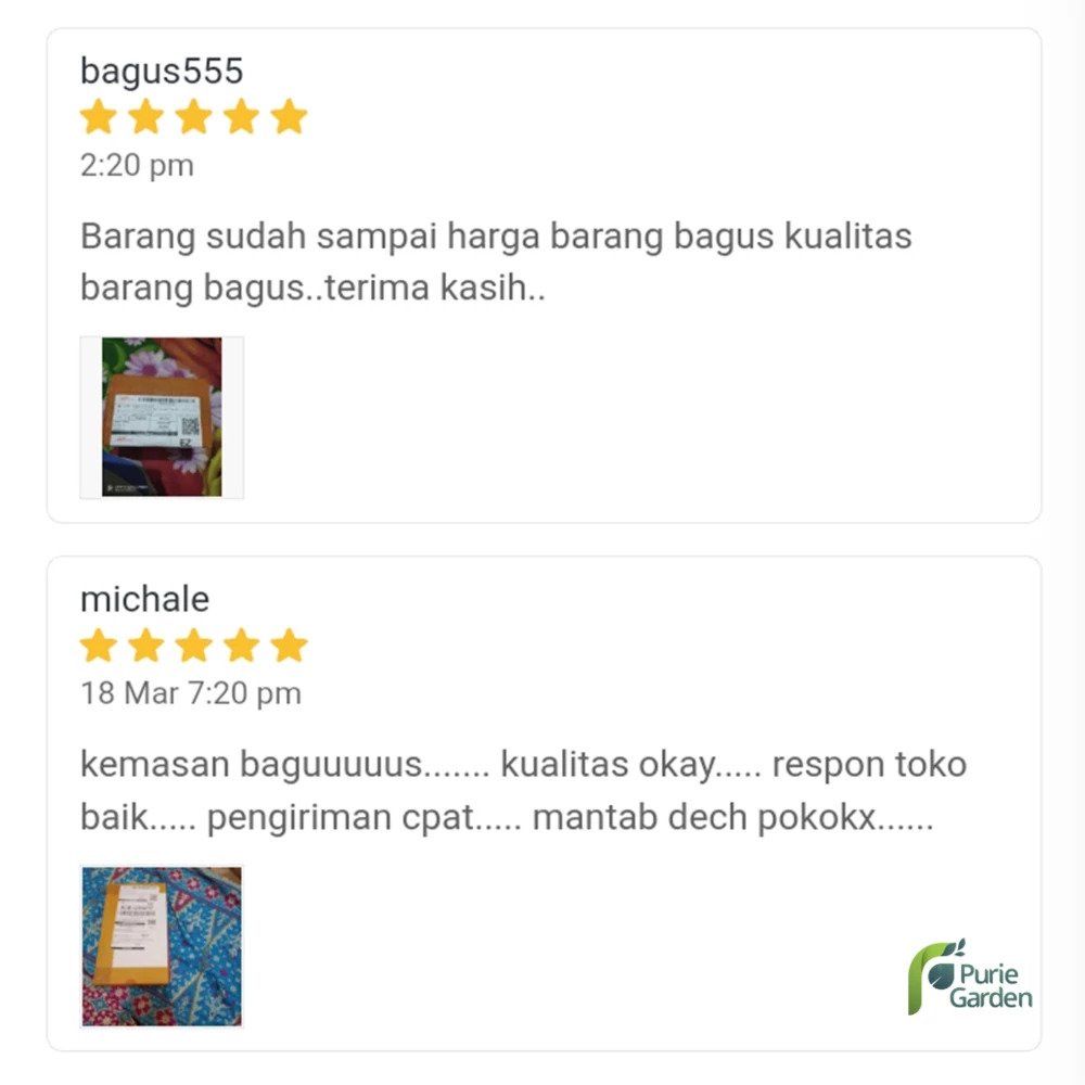 Obat Cangkok Stek Perangsang Akar Nature Stek 20gr PG KDR