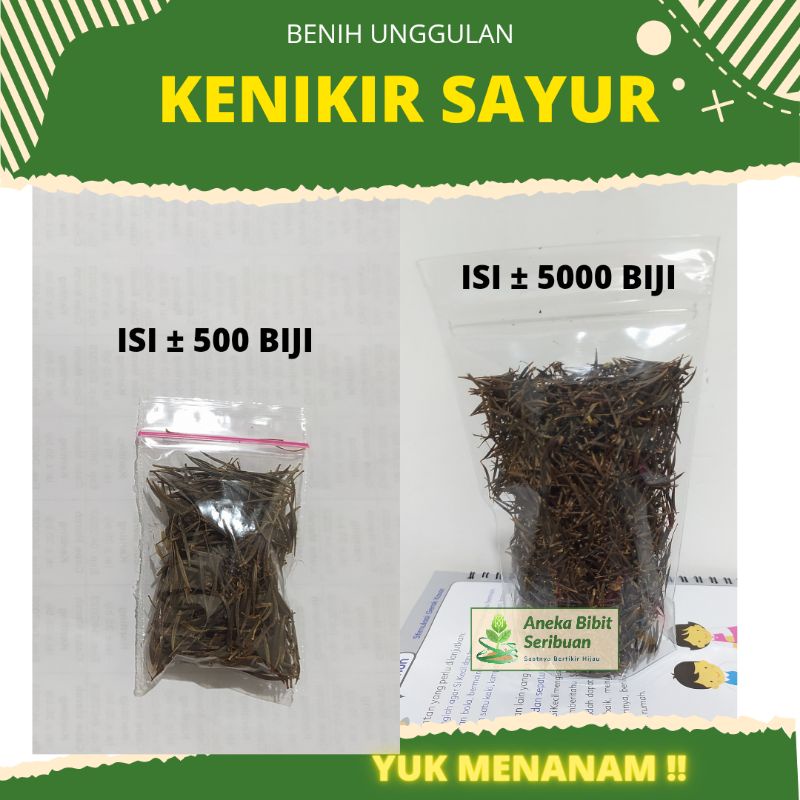 ±5000 biji - benih kenikir sayur lalap untuk urap-urap, Sayuran kaya manfaat