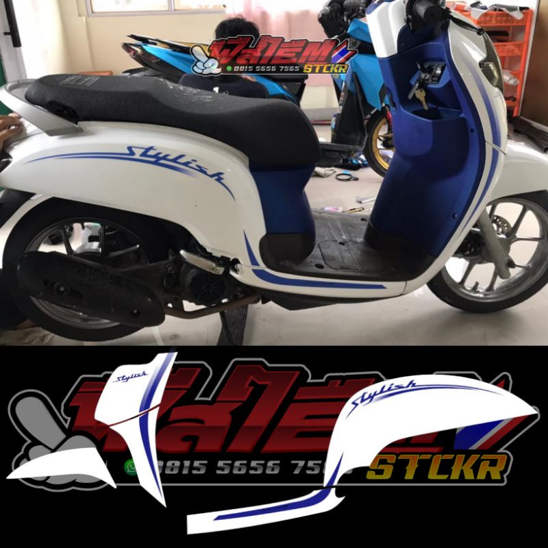 STRIPING SCOOPY NEW STYLISH TRANSPARAN