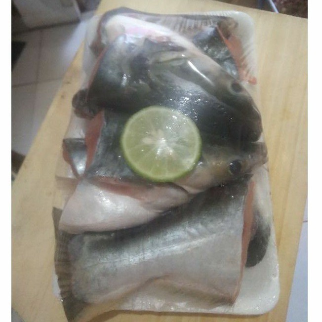 

Ikan patin fresh bersih