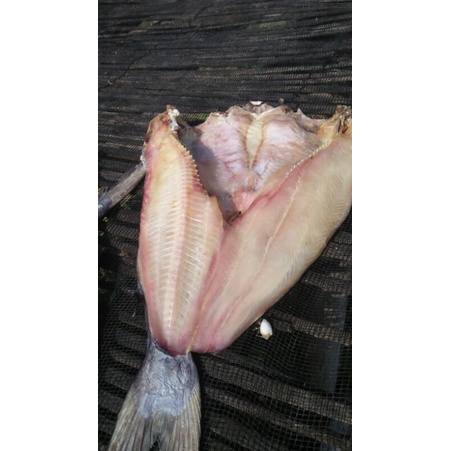 

jambal roti super 1 kg