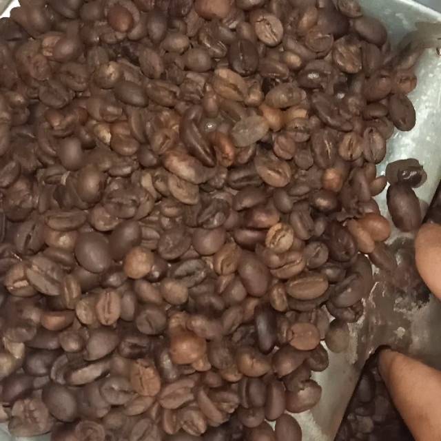 

Kopi biji semendo asli 1kg