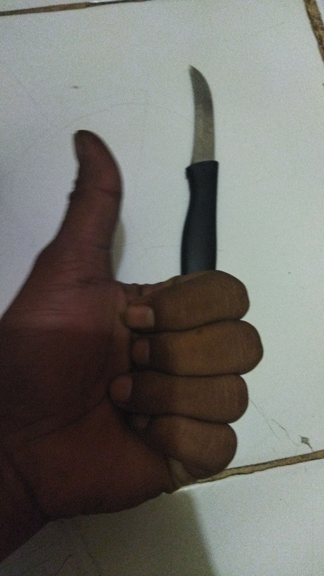 Pisau Grafting Cangkok Okulasi Ukir Buah Knife Fruit Lokal