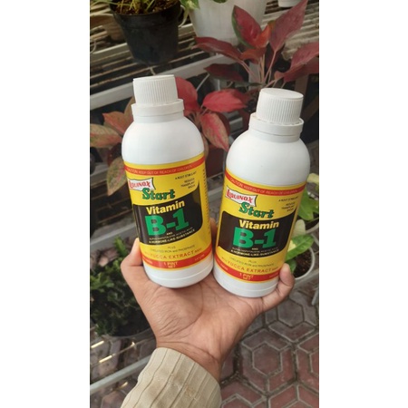 LIQUINOX START VITAMIN B1 0,47 LITER