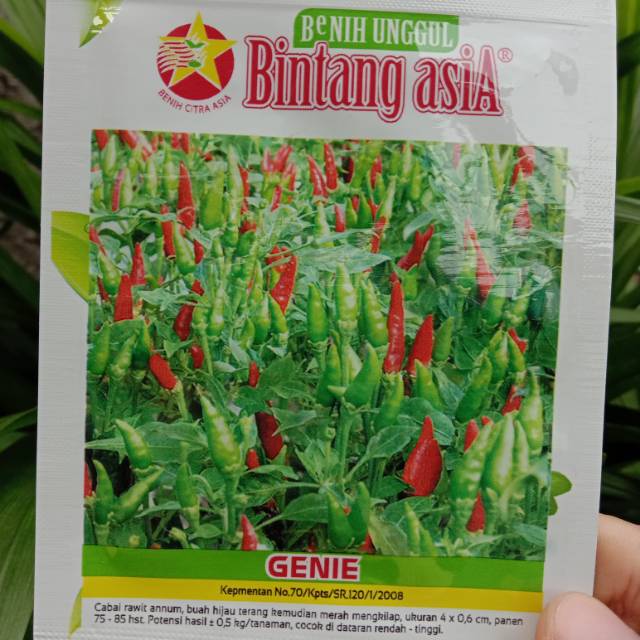 (REPACKING) Benih Cabai Rawit Kecil GENIE Bintang Asia isi 10 benih