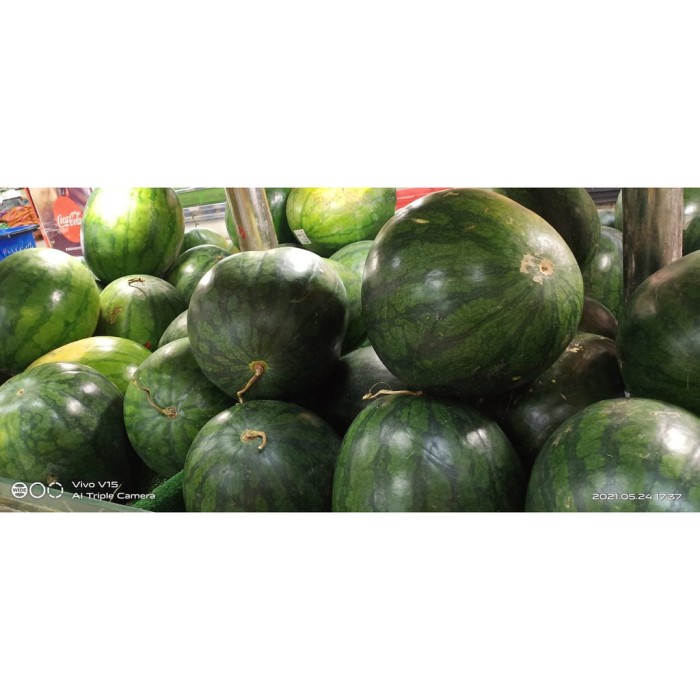 

Buah Semangka Merah Non Biji (4-6kg/pcs)