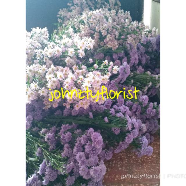 Bunga potong pikok peacock