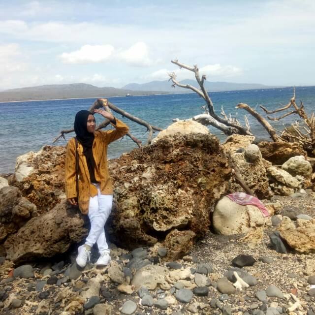 ifha29