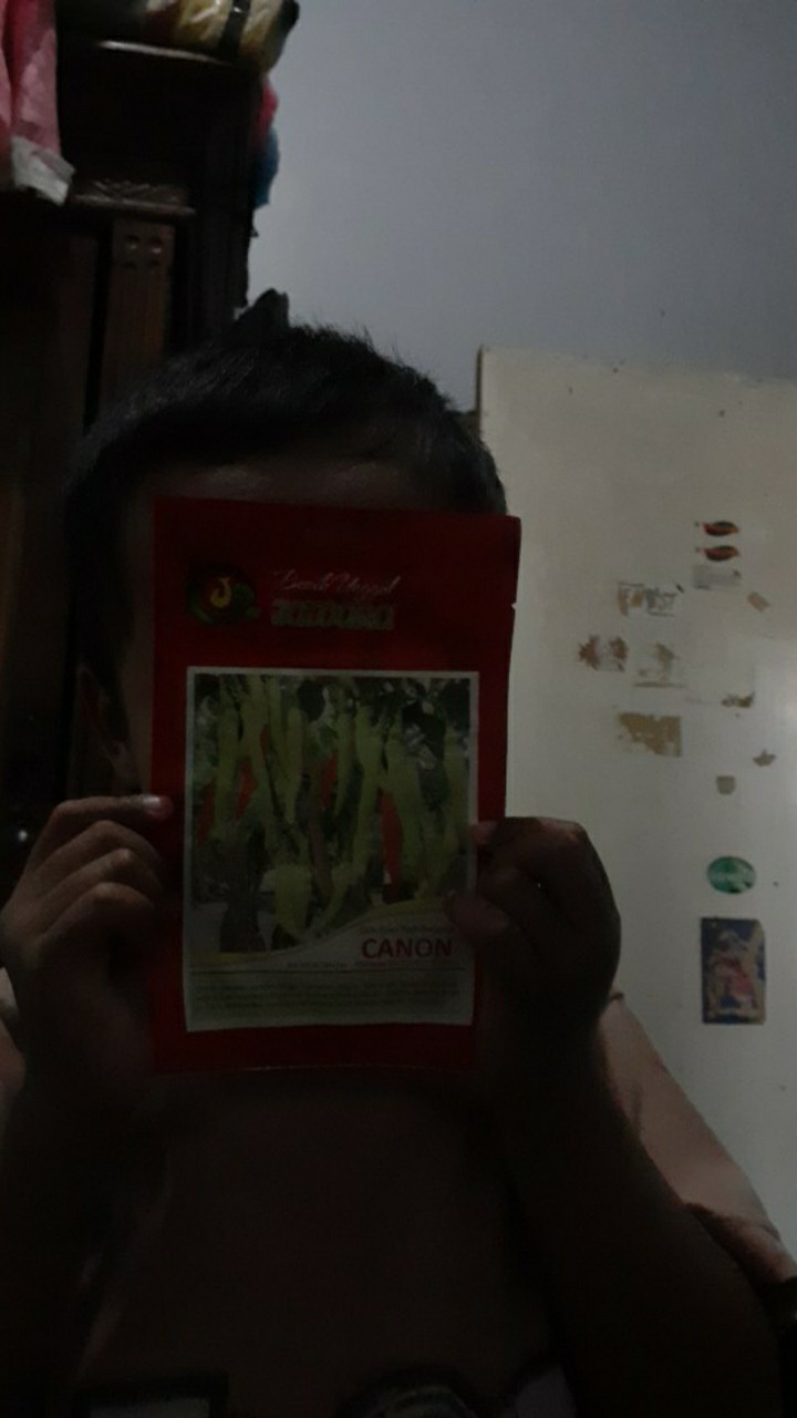 Isi 5 Gram Bibit Cabe Rawit Canon | Benih Cabe Rawit | Bibit Cabe | Bibit Unggul