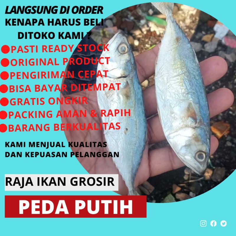 

IKAN ASIN PEDA PUTIH 500 GRAM BERKUALITAS TERJAMIN