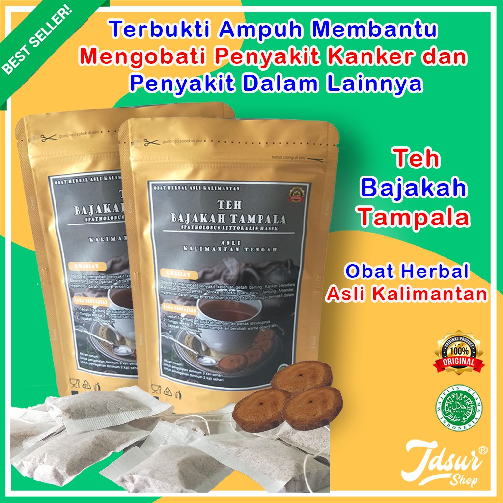 

TEH CELUP AKAR KAYU BAJAKAH TAMPALA MERAH HERBAL ASLI KALIMANTAN