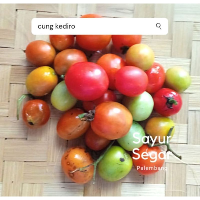 

Cung Kediro Per 100 Gr Sayur Segar Palembang