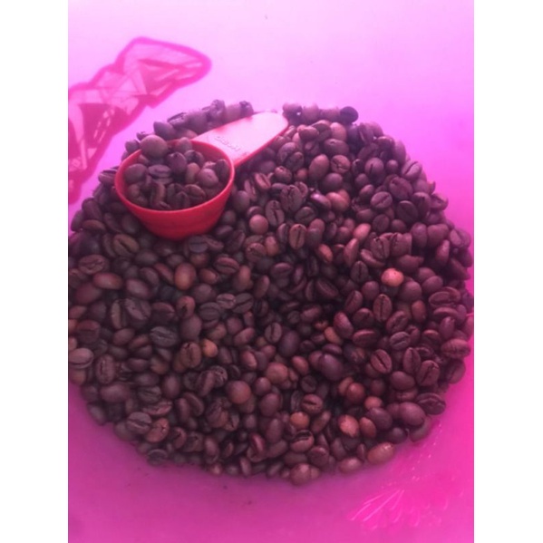 

ROBUSTA TEMANGGUNG GARUT