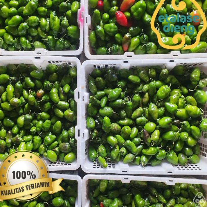 

Viral Cabe / Cabe Gendot / Cabe Dieng / Cabe Gendut / Habanero / Cabe Fresh / Cabai / 1Kg / 0,5 Kg |Promo!!!|launching|New!